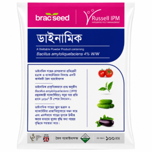 ডাইনামিক