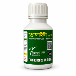 প্রোফাইটা