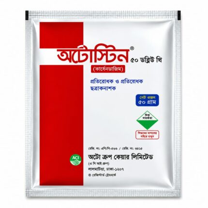 অটোস্টিন