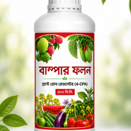 বাম্পার ফলন