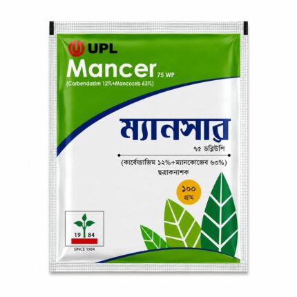 ম্যানসার